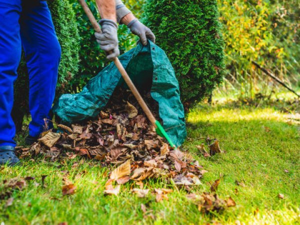 Garden Waste Removal